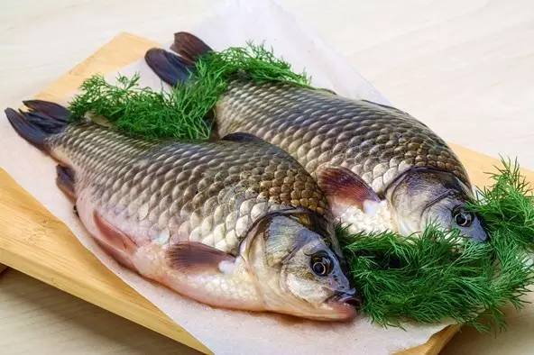 鲫鱼抗生素检测，鲫鱼检测中心检测哪些内容？