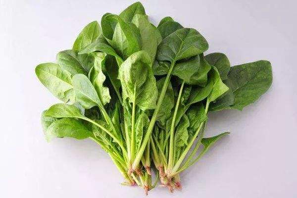 菠菜检测项目有哪些？菠菜检测依据什么标准