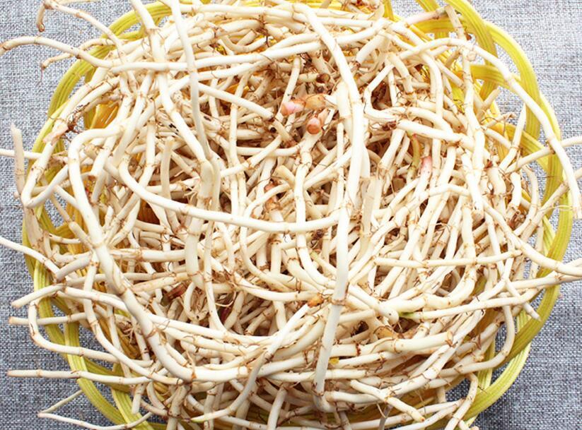 鱼腥草检测报告检测标准是什么？