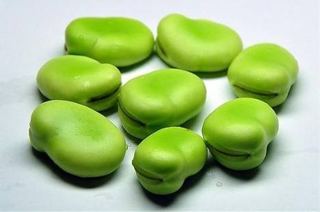  合肥食品检测第三方盘点蚕豆检测项目和标准