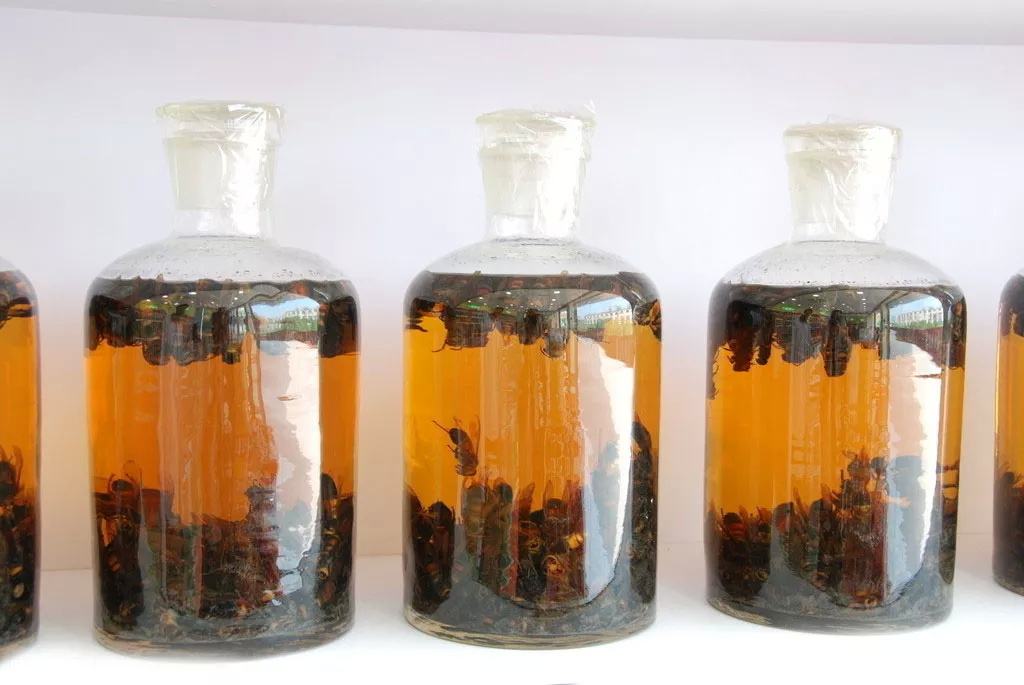 药酒检测报告办理流程是怎样的？